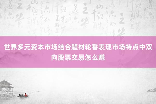 世界多元资本市场结合题材轮番表现市场特点中双向股票交易怎么赚