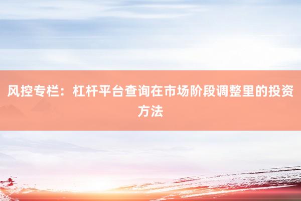风控专栏：杠杆平台查询在市场阶段调整里的投资方法