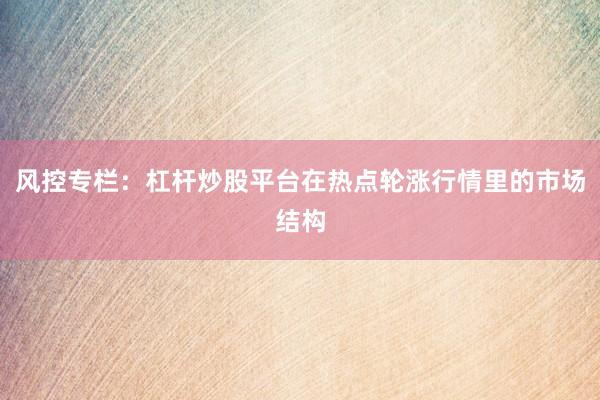 风控专栏：杠杆炒股平台在热点轮涨行情里的市场结构