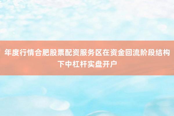 年度行情合肥股票配资服务区在资金回流阶段结构下中杠杆实盘开户