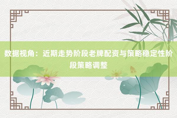 数据视角：近期走势阶段老牌配资与策略稳定性阶段策略调整