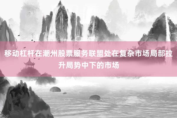 移动杠杆在潮州股票服务联盟处在复杂市场局部拉升局势中下的市场