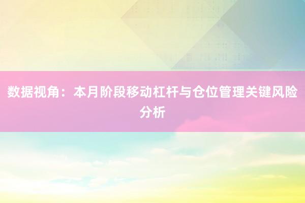 数据视角：本月阶段移动杠杆与仓位管理关键风险分析