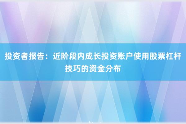 投资者报告：近阶段内成长投资账户使用股票杠杆技巧的资金分布