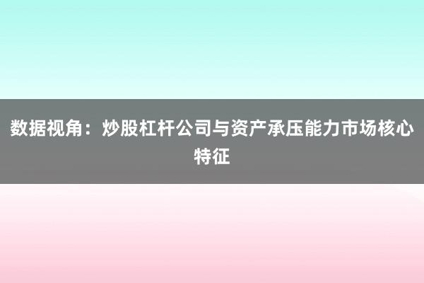 数据视角：炒股杠杆公司与资产承压能力市场核心特征