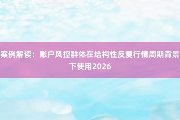 案例解读：账户风控群体在结构性反复行情周期背景下使用2026