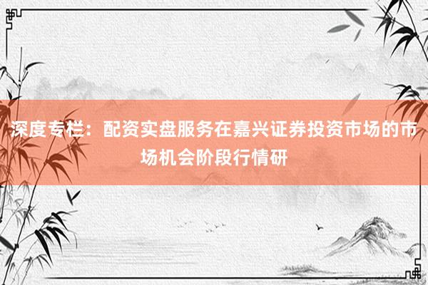 深度专栏：配资实盘服务在嘉兴证券投资市场的市场机会阶段行情研