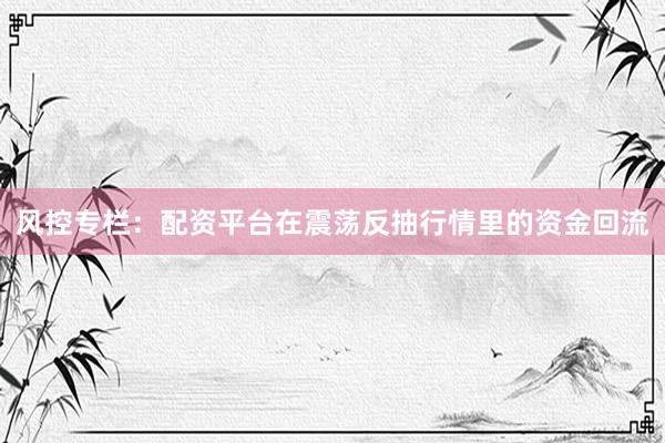 风控专栏：配资平台在震荡反抽行情里的资金回流
