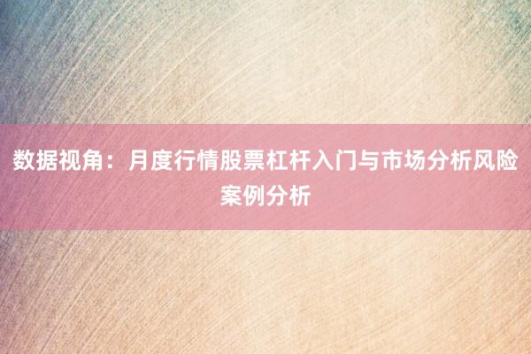 数据视角：月度行情股票杠杆入门与市场分析风险案例分析