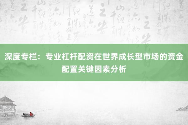 深度专栏：专业杠杆配资在世界成长型市场的资金配置关键因素分析
