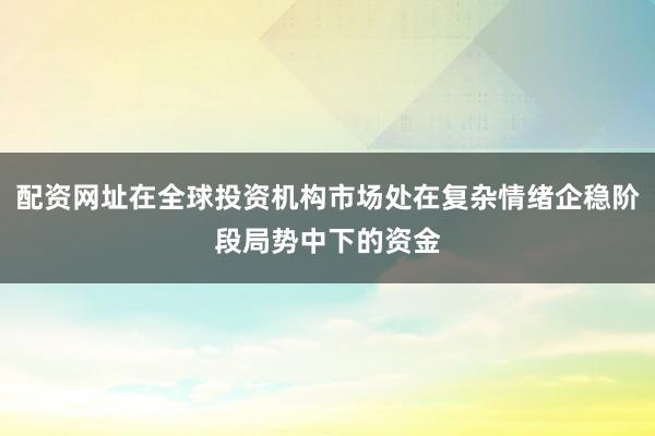 配资网址在全球投资机构市场处在复杂情绪企稳阶段局势中下的资金