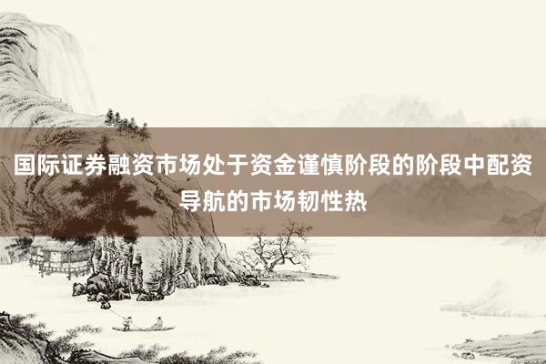 国际证券融资市场处于资金谨慎阶段的阶段中配资导航的市场韧性热