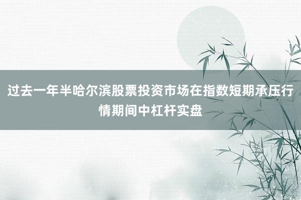过去一年半哈尔滨股票投资市场在指数短期承压行情期间中杠杆实盘