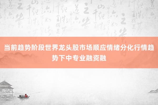 当前趋势阶段世界龙头股市场顺应情绪分化行情趋势下中专业融资融