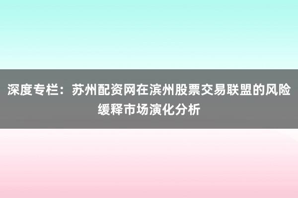 深度专栏：苏州配资网在滨州股票交易联盟的风险缓释市场演化分析