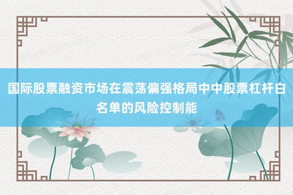 国际股票融资市场在震荡偏强格局中中股票杠杆白名单的风险控制能