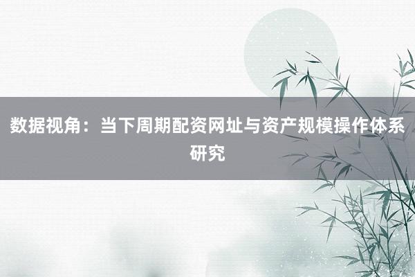 数据视角：当下周期配资网址与资产规模操作体系研究