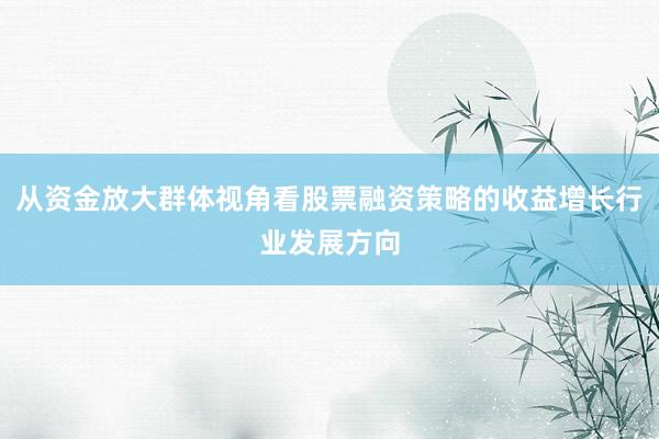 从资金放大群体视角看股票融资策略的收益增长行业发展方向