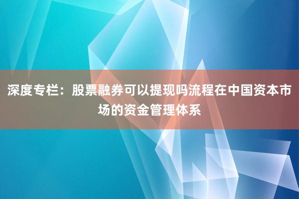 深度专栏：股票融券可以提现吗流程在中国资本市场的资金管理体系